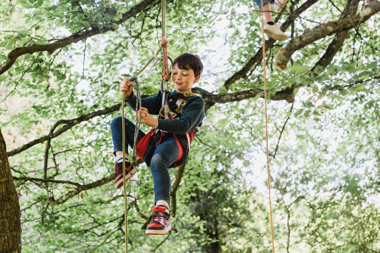 Cocoon Village - Glamping - Domaine Des Grottes De Han Rochefort Exteriér fotografie