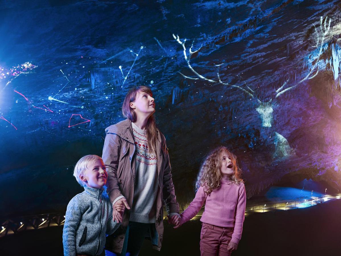 Cocoon Village - Glamping - Domaine Des Grottes De Han Rochefort Exteriér fotografie